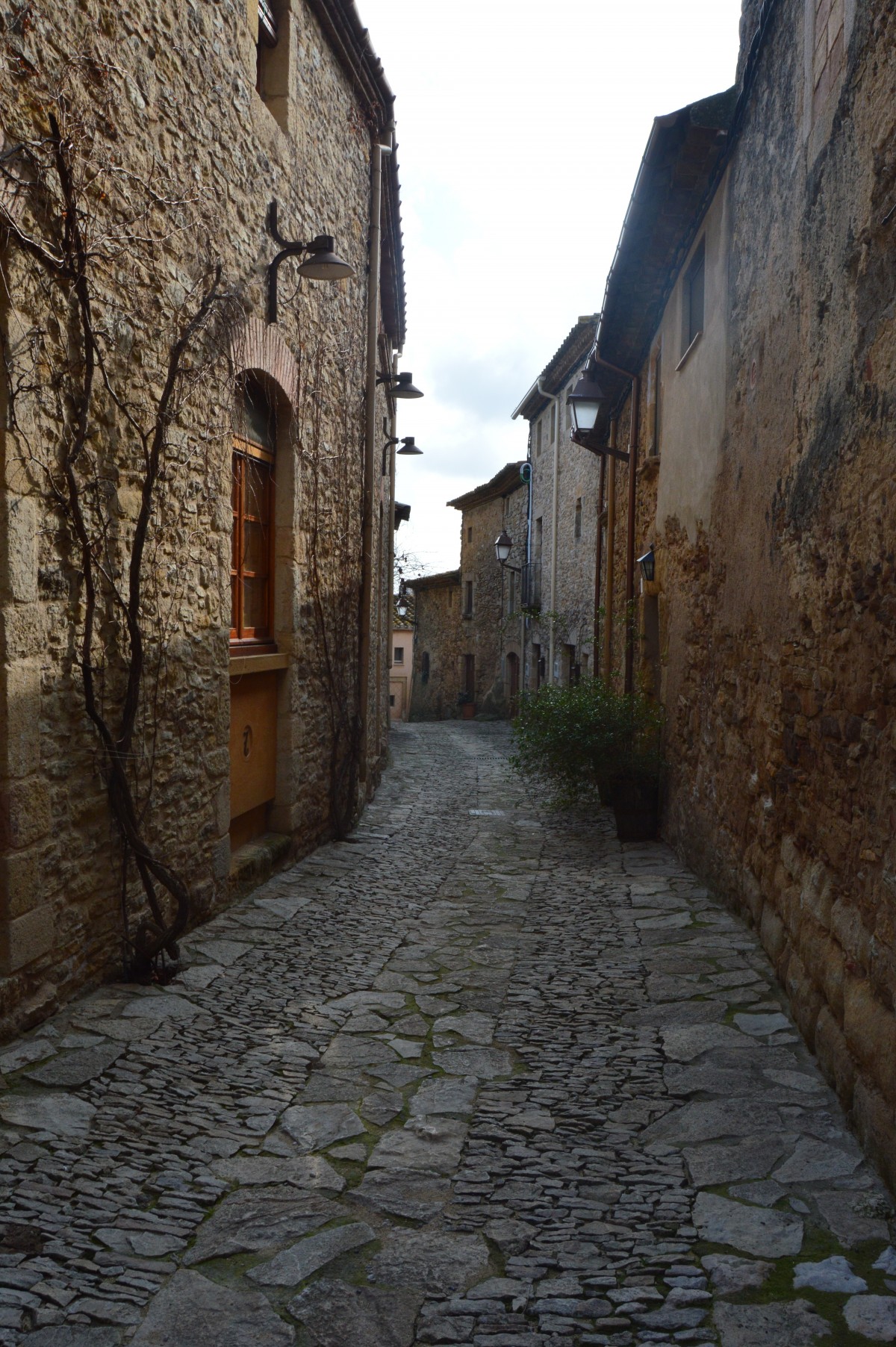 ruelle